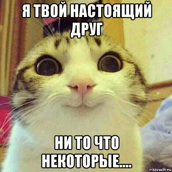 я твой настоящий друг ни то что некоторые...., Мем       Котяка-улыбака