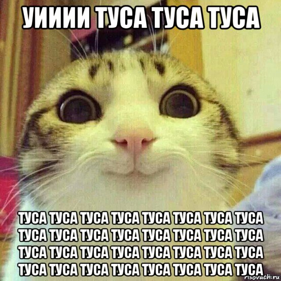 уииии туса туса туса туса туса туса туса туса туса туса туса туса туса туса туса туса туса туса туса туса туса туса туса туса туса туса туса туса туса туса туса туса туса туса туса, Мем       Котяка-улыбака