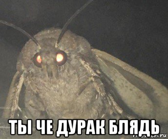  ты че дурак блядь