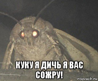  куку я дичь я вас сожру!