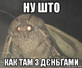 ну што как там з дєньґами, Мем Матылёк