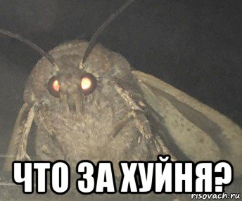  что за хуйня?