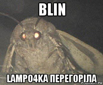 blin lampо4ka перегоріла, Мем Матылёк