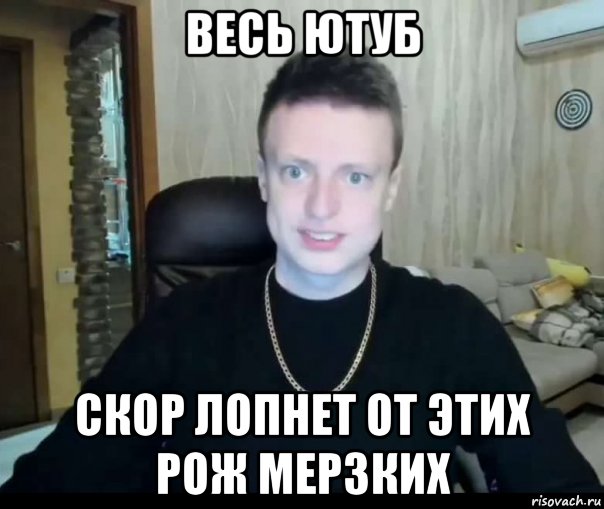 весь ютуб скор лопнет от этих рож мерзких, Мем Мелстрой