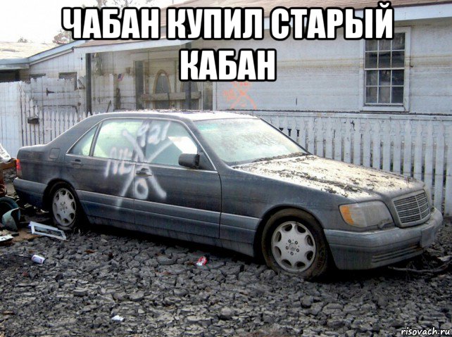 чабан купил старый кабан 