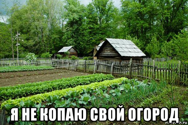  я не копаю свой огород, Мем Moon 16
