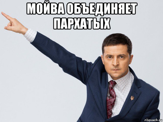 мойва объединяет пархатых , Мем Мова