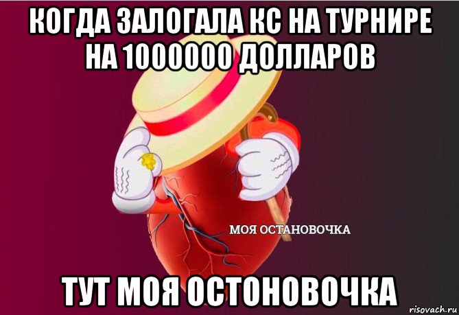 когда залогала кс на турнире на 1000000 долларов тут моя остоновочка, Мем   Моя остановочка