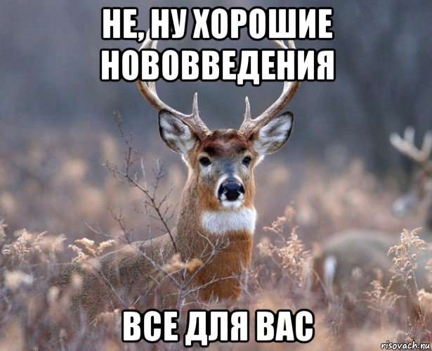 не, ну хорошие нововведения все для вас, Мем   Наивный олень