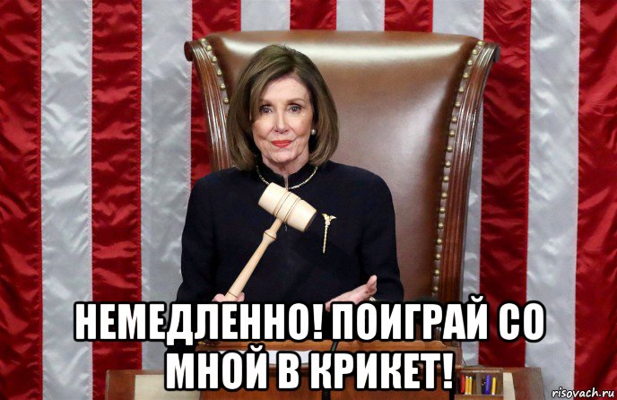  немедленно! поиграй со мной в крикет!, Мем Nancy Pelosi