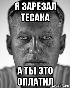 я зарезал тесака а ты это оплатил, Мем Навальный смотрит