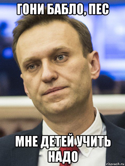 гони бабло, пес мне детей учить надо, Мем Навальный