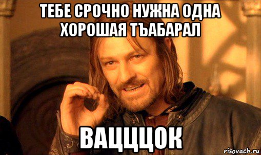 тебе срочно нужна одна хорошая тъабарал вацццок, Мем Нельзя просто так взять и (Боромир мем)