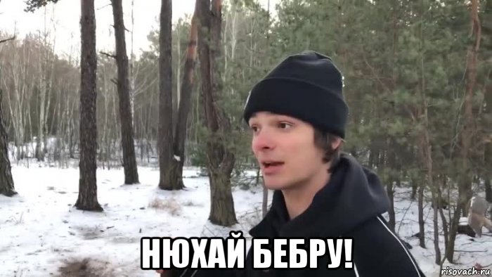 нюхай бебру!, Мем Нюхай бебру