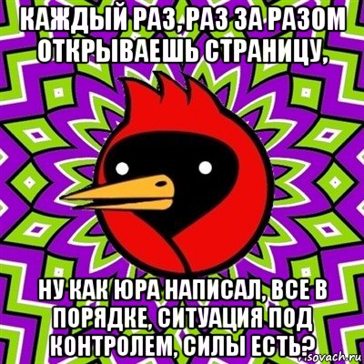 каждый раз, раз за разом открываешь страницу, ну как юра написал, все в порядке, ситуация под контролем, силы есть?, Мем Омская птица