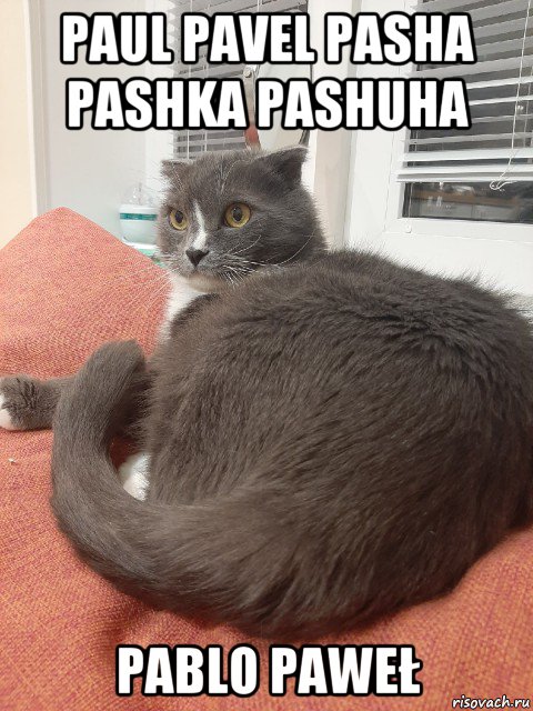 paul pavel pasha pashka pashuha pablo paweł