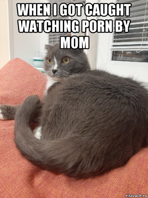 when i got caught watching porn by mom 