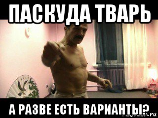 паскуда тварь а разве есть варианты?