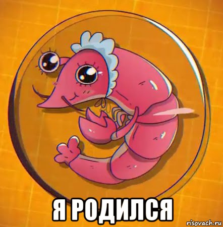  я родился, Мем Пидор рак
