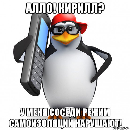 алло! кирилл? у меня соседи режим самоизоляции нарушают!, Мем   Пингвин звонит