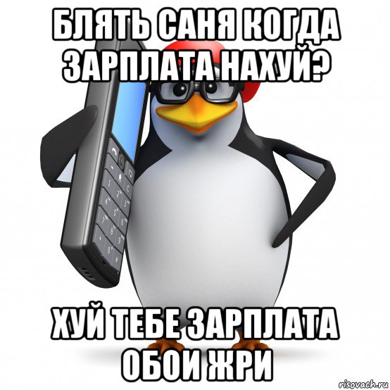 блять саня когда зарплата нахуй? хуй тебе зарплата обои жри, Мем   Пингвин звонит