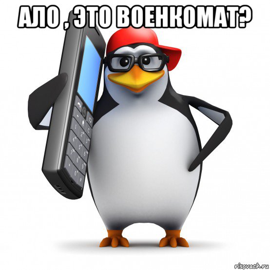 ало , это военкомат? , Мем   Пингвин звонит