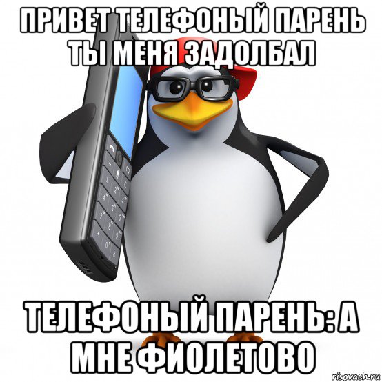 привет телефоный парень ты меня задолбал телефоный парень: а мне фиолетово, Мем   Пингвин звонит