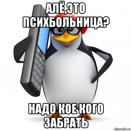 алё,это психбольница? надо кое кого забрать, Мем   Пингвин звонит