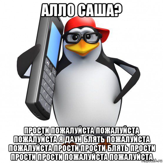 алло саша? прости пожалуйста пожалуйста пожалуйста я даун блять пожалуйста пожалуйста прости прости блять прости прости прости пожалуйста пожалуйста, Мем   Пингвин звонит