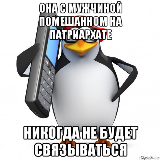 она с мужчиной помешанном на патриархате никогда не будет связываться, Мем   Пингвин звонит