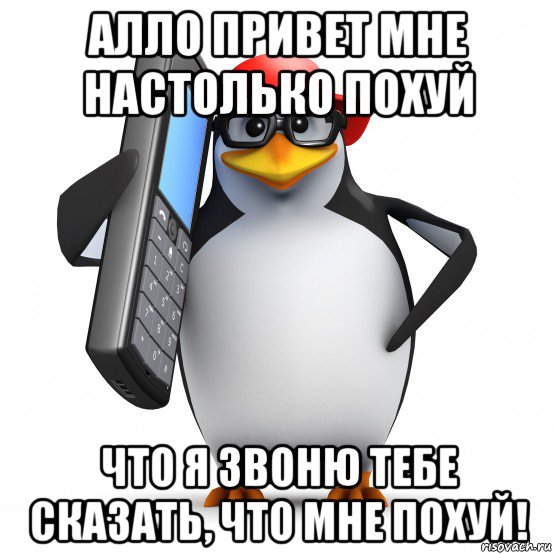 алло привет мне настолько похуй что я звоню тебе сказать, что мне похуй!, Мем   Пингвин звонит