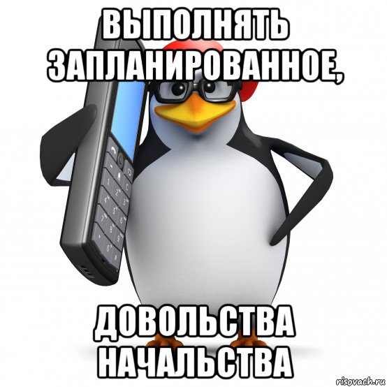 выполнять запланированное, довольства начальства, Мем   Пингвин звонит