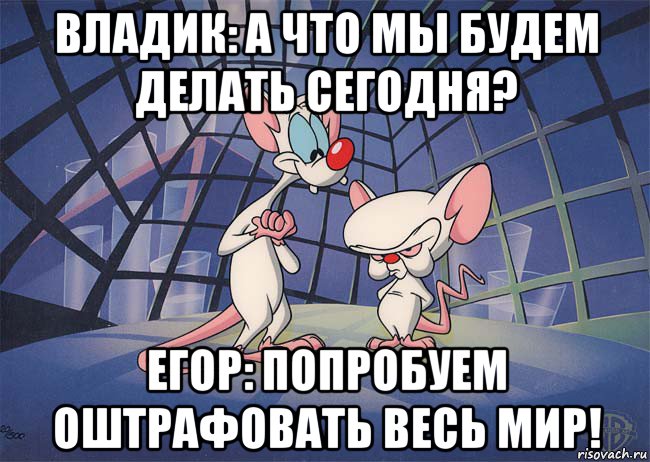 владик: а что мы будем делать сегодня? егор: попробуем оштрафовать весь мир!, Мем ПИНКИ И БРЕЙН