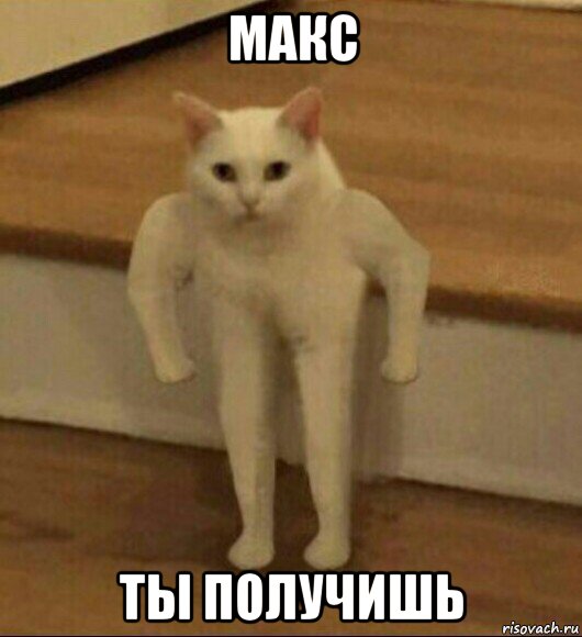 макс ты получишь