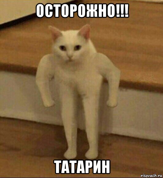 осторожно!!! татарин