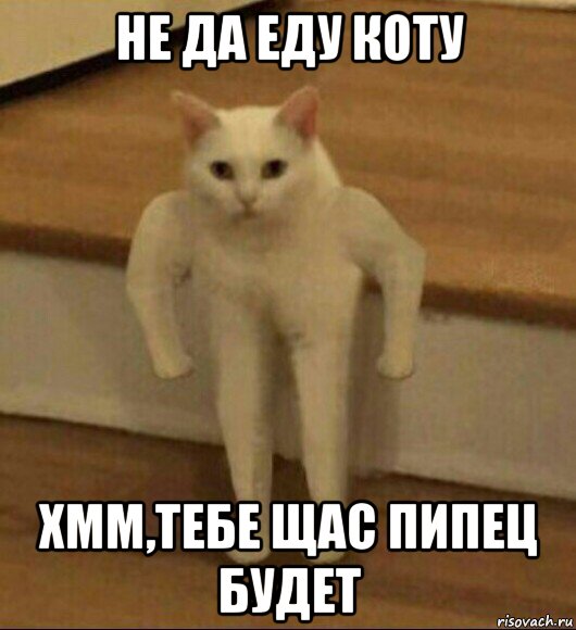 не да еду коту хмм,тебе щас пипец будет