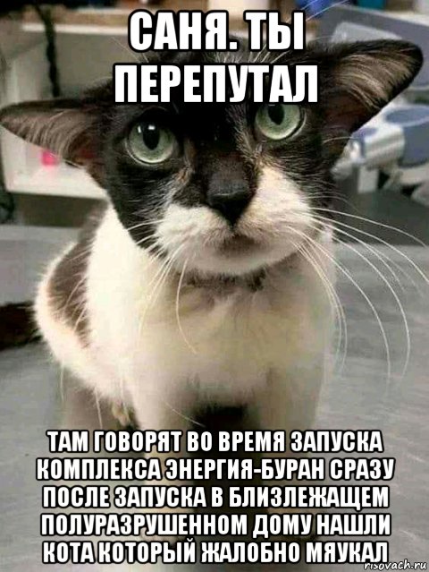 саня. ты перепутал там говорят во время запуска комплекса энергия-буран сразу после запуска в близлежащем полуразрушенном дому нашли кота который жалобно мяукал, Мем Проверяйте работу