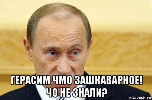  герасим чмо зашкаварное! чо не знали?, Мем путин