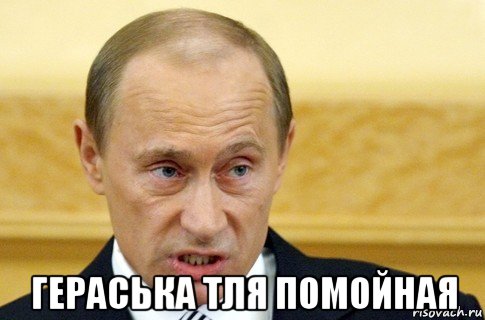  гераська тля помойная, Мем путин