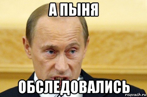 а пыня обследовались, Мем путин