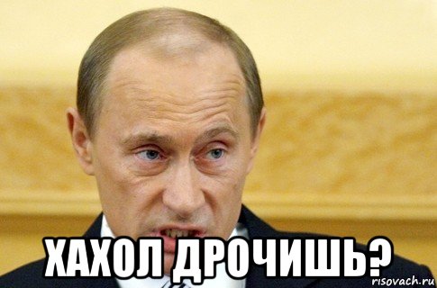  хахол дрочишь?, Мем путин