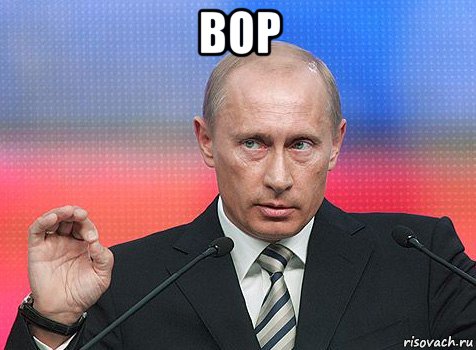 вор , Мем путин