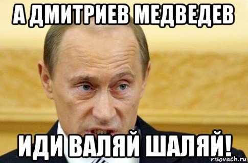 а дмитриев медведев иди валяй шаляй!, Мем путин