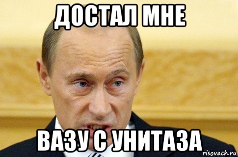 достал мне вазу с унитаза, Мем путин