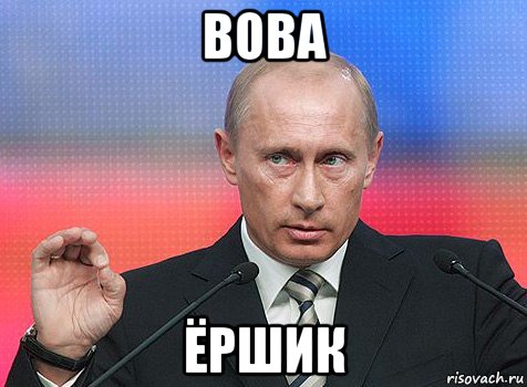 вова ёршик, Мем путин