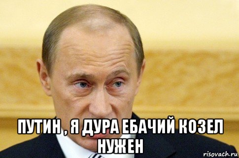  путин , я дура ебачий козел нужен, Мем путин