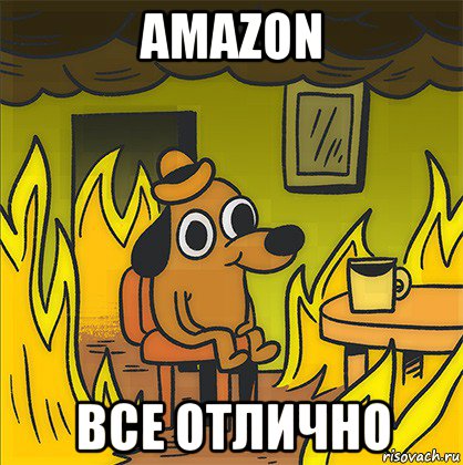 amazon все отлично, Мем Собака в огне