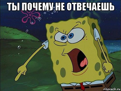 ты почему не отвечаешь 