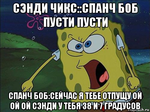 сэнди чикс::спанч боб пусти пусти спанч боб:сейчас я тебе отпущу ой ой ой сэнди у тебя 38 и 7 градусов, Мем Спанч боб