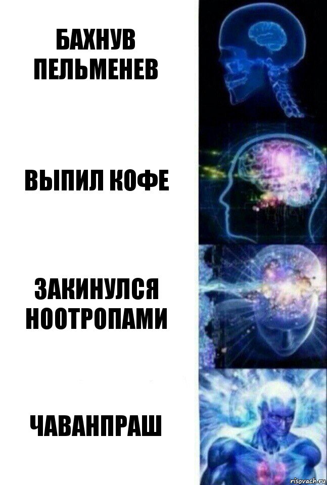 Бахнув пельменев Выпил кофе Закинулся ноотропами Чаванпраш